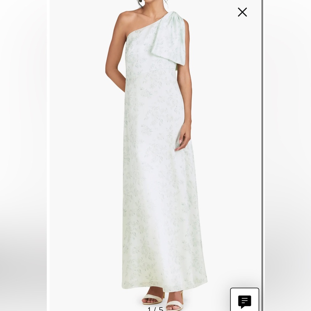 Sachin & Babi Gown
